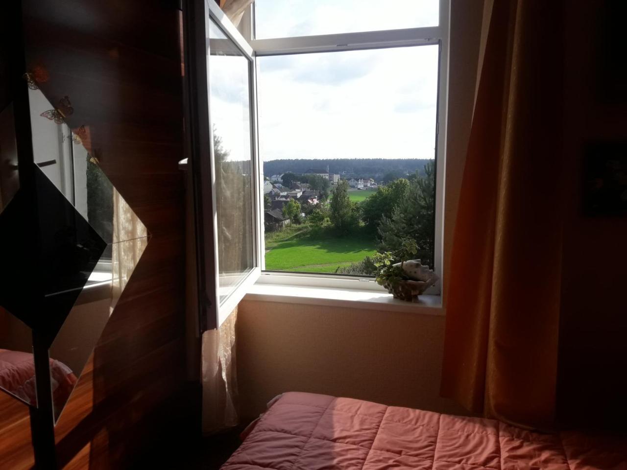 Kraslava City Apartment Extérieur photo
